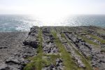 PICTURES/Innishmore - Dun Eoghanachta & Dun Aonghas Stone Forts/t_DSC04854.JPG